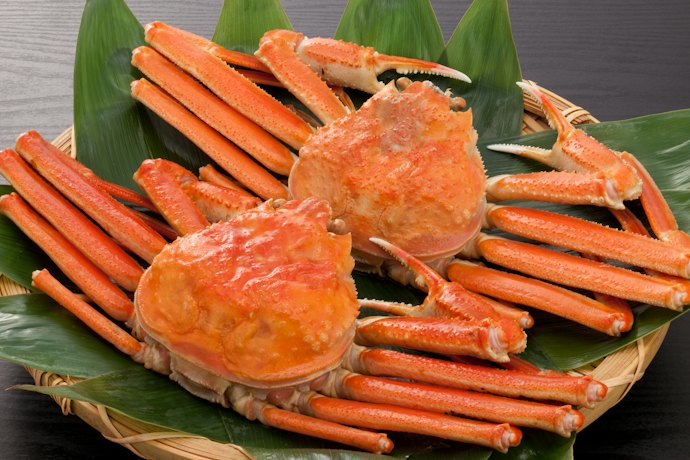 北海道グルメを満喫!宿の食事も要チェック