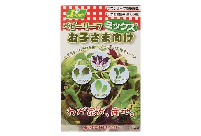 初心者ならプランターで育てやすい野菜を選んでみよう
