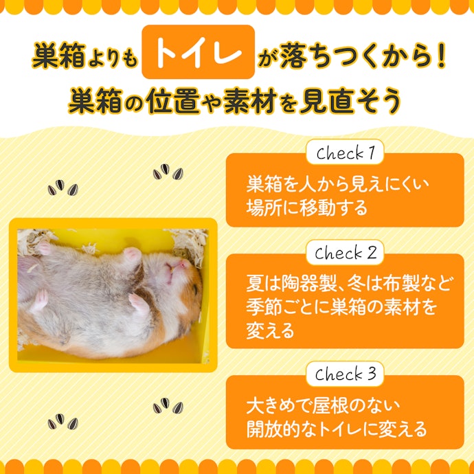 ハムスターがトイレで寝るのはなぜ?