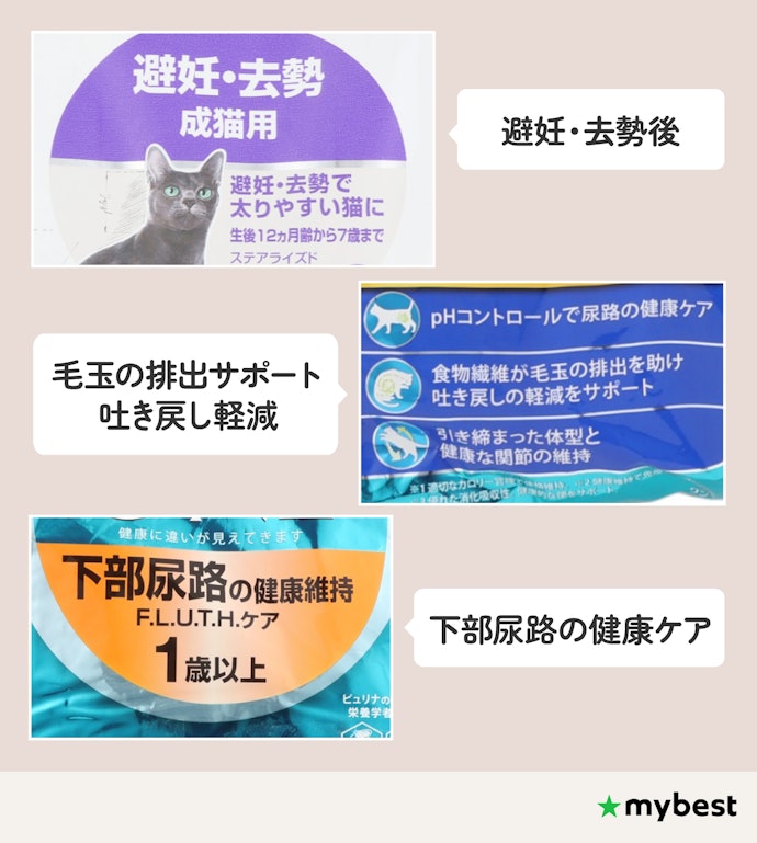 健康状態・悩みに合わせたフードを取り入れよう