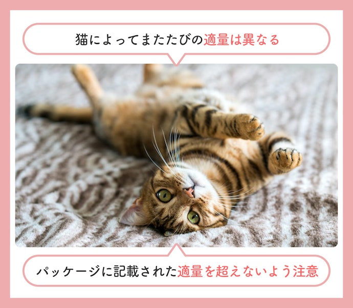 はじめて与えるときは少量から!必ず適量を守ろう