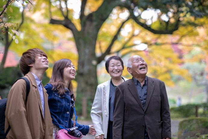 年齢や契約人数の加入条件もチェック
