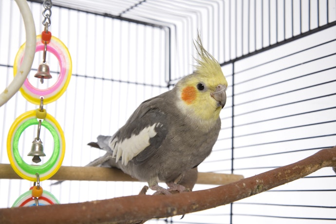 錆びにくいステンレス製がおすすめ