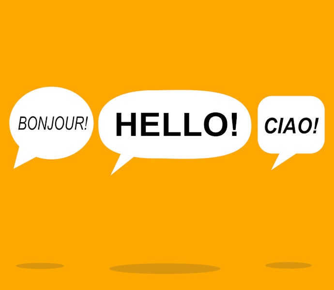 フランス語以外の翻訳ができるかチェック