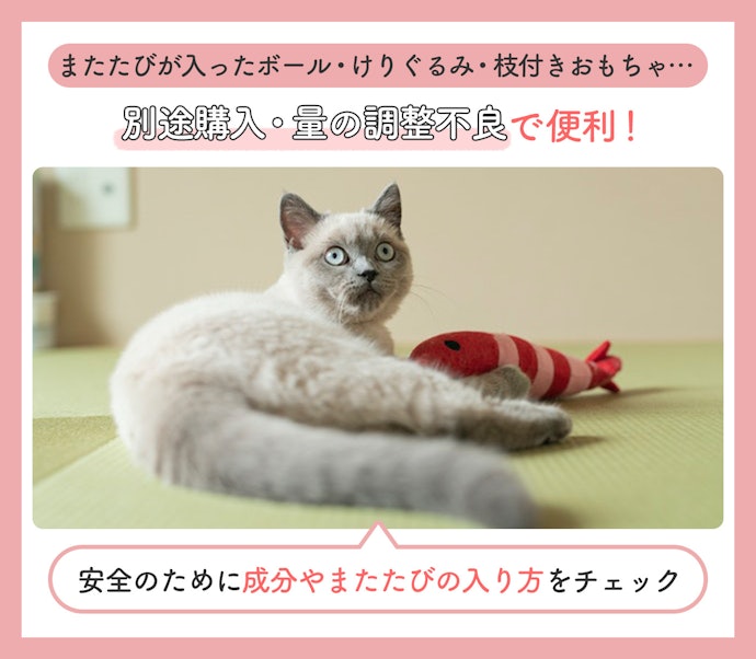 またたび入りのおもちゃで猫と一緒に遊ぼう