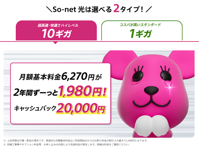 ①速度に関するプランは2つ。家族で使うなら10G、単身世帯なら1Gがおすすめ