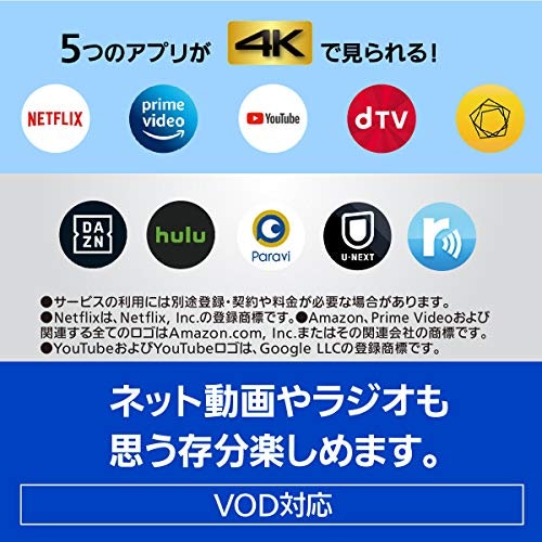 映像配信サービスも活用しよう。対応サービスに注目