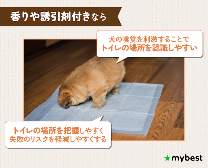 子犬や新入りのトレーニングで失敗を減らしたいなら、しつけ用の香りや誘引剤付きシートに注目しよう