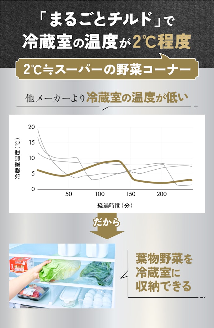 ⑥ 日立:葉物野菜を多く使う人におすすめ