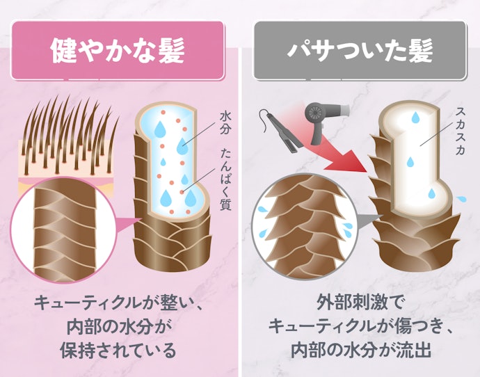 髪がパサつく原因はなんですか?
