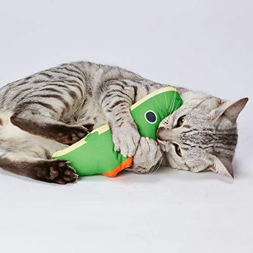 猫のからだに合うサイズがマスト