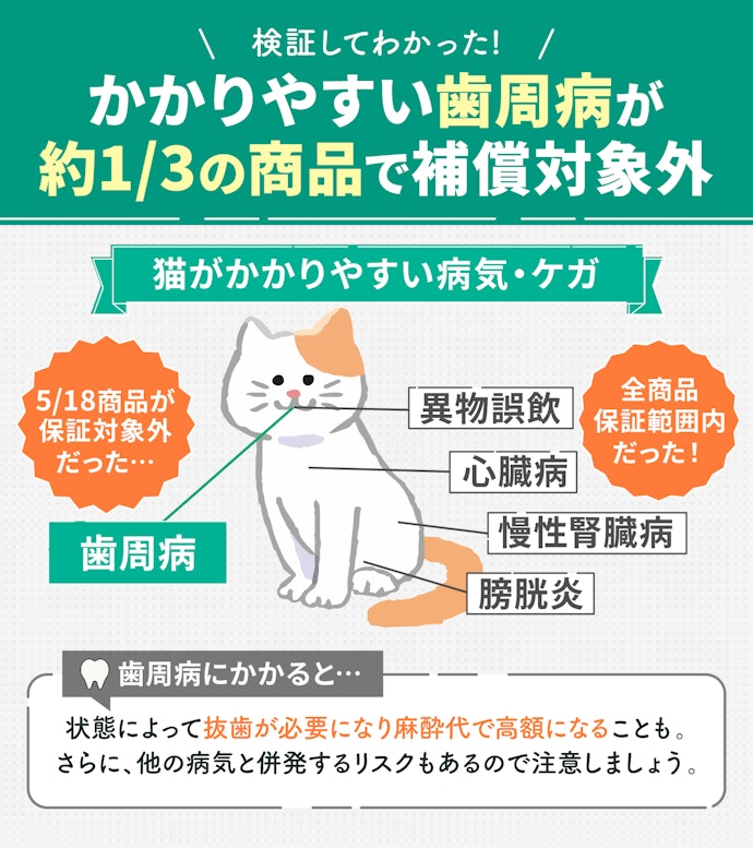 病気やケガの補償範囲が広いものを選ぼう!歯周病までカバーされているペット保険がおすすめ