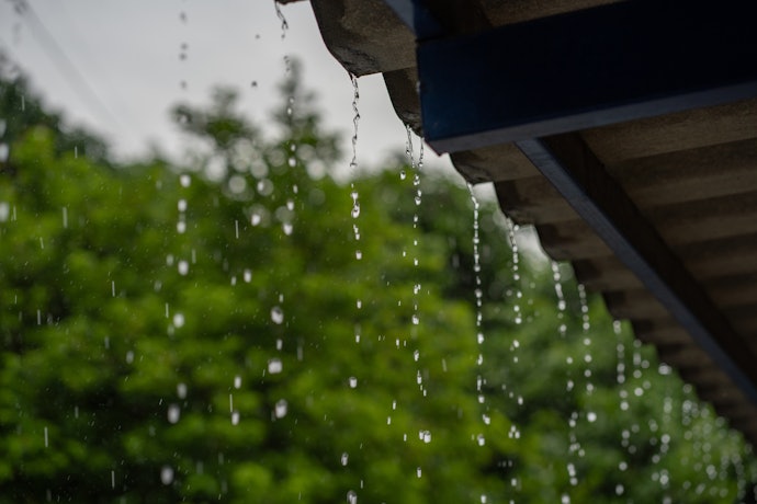 雨に強く、効果が長く持続するものを選ぼう