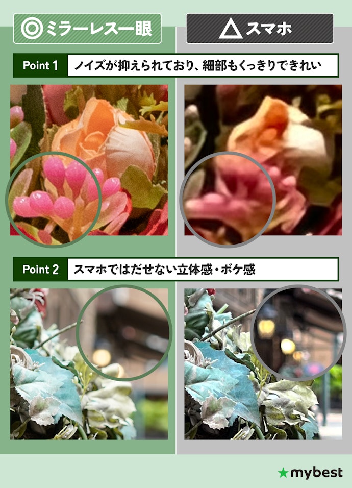 ミラーレス一眼の魅力は、繊細な解像力と美しいボケ表現