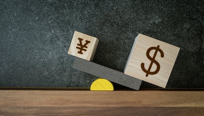 外貨預金やFXの取引リスクを理解する