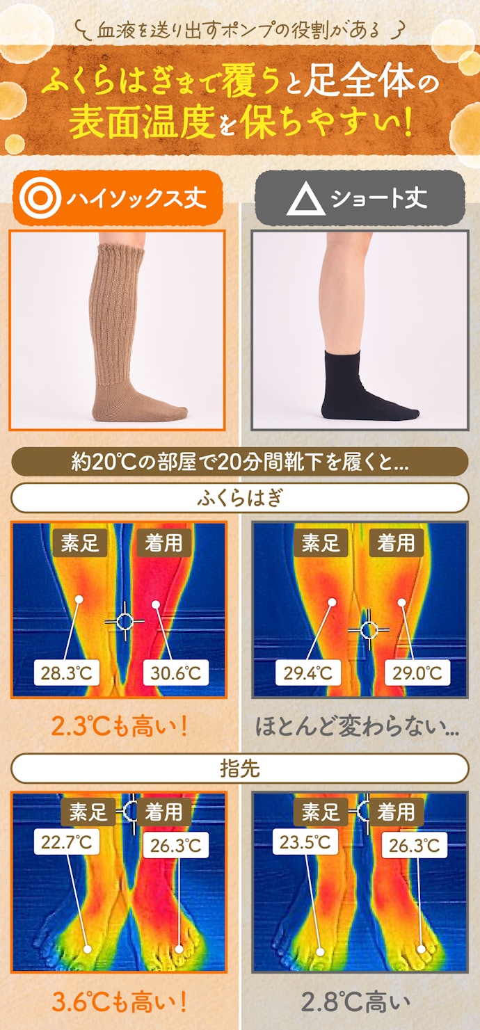 足の表面温度を保つために、ふくらはぎまで覆えるハイソックスタイプがおすすめ!