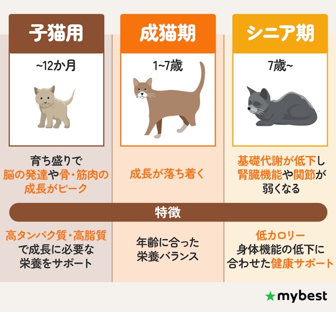 対象年齢に合わせたフードを与えよう