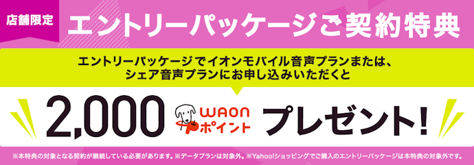 エントリーパッケージを使って申し込むと2,000ポイントプレゼント