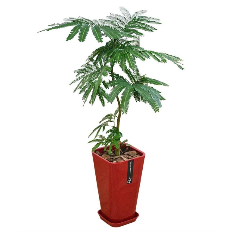 ☆エバーフレッシュ☆ 太木 葉たくさん バランス良い おすすめ