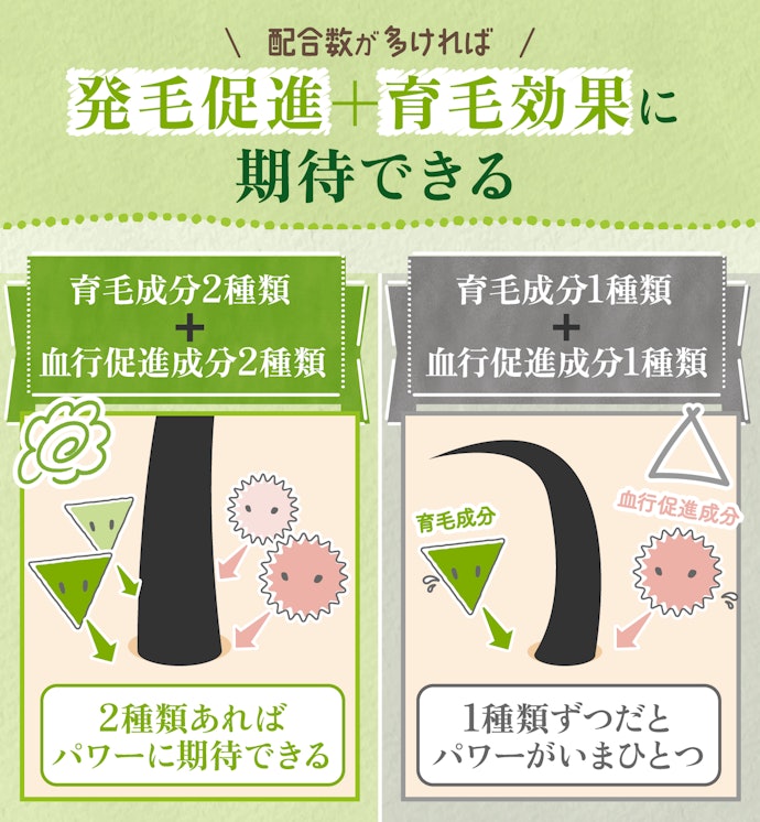 髪を立ち上げ若々しい見た目を目指すなら、育毛成分2種類以上+血行促進成分2種類以上が配合されている育毛剤を!