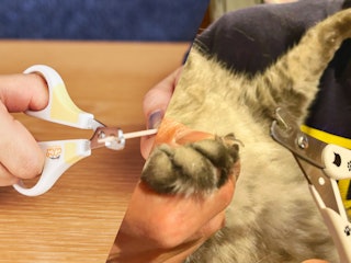 切れ味