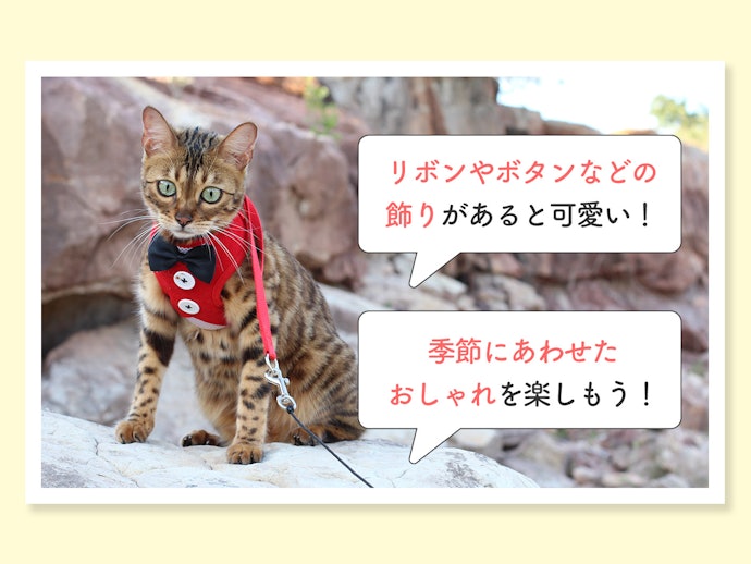 愛猫に似合うデザインに注目
