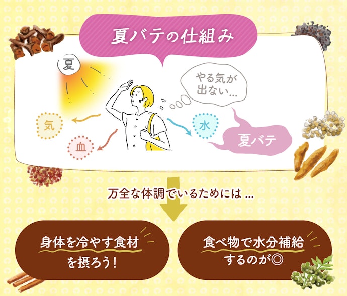 そもそも夏バテってなぜ起こるんですか?