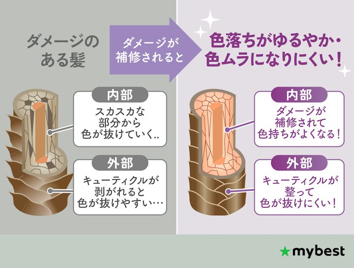 補修成分が充実したシャンプーはよりおすすめ