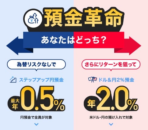 預金をするなら預金革命の金利アップを狙おう