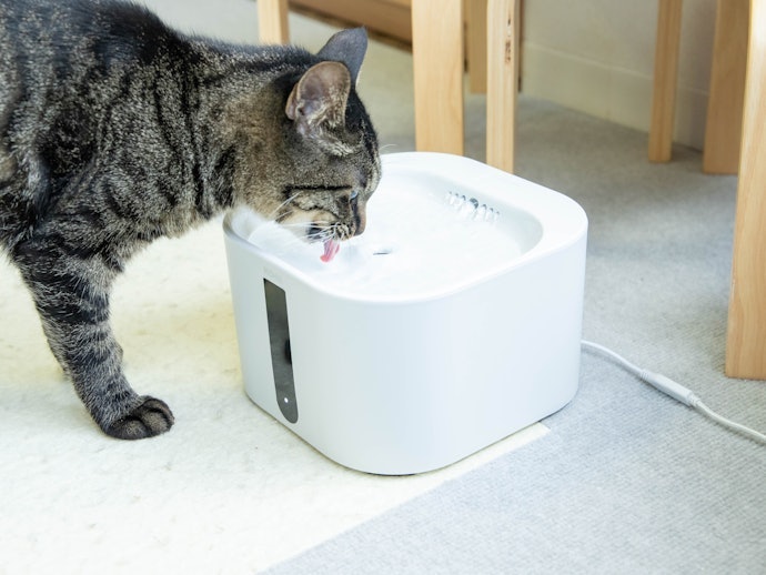 自動給水器のメリットは?猫の水飲みを促進して健康に配慮