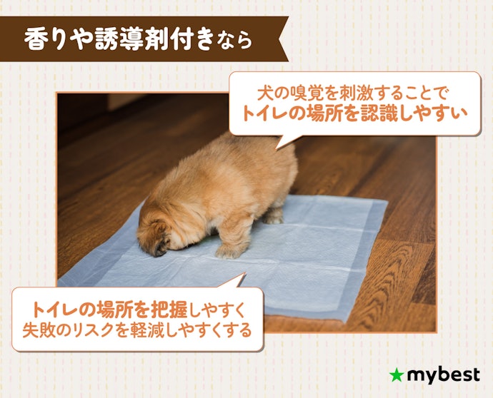 子犬や新入りのトレーニングで失敗を減らしたいなら、しつけ用の香りや誘引剤付きシートに注目しよう