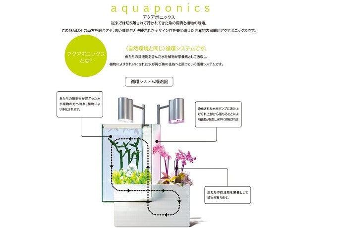 自然を再現したアクアポニックスもオススメ