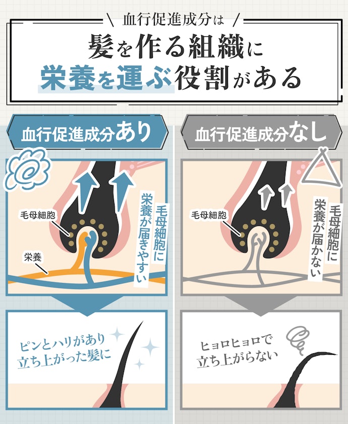 発毛を促進するには育毛成分はもちろん、血行促進成分の有無が重要!