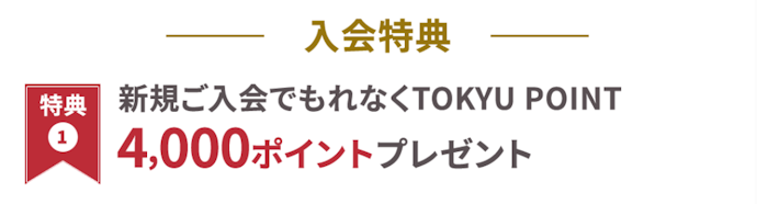 該当カードの新規申し込みで4,000ポイント