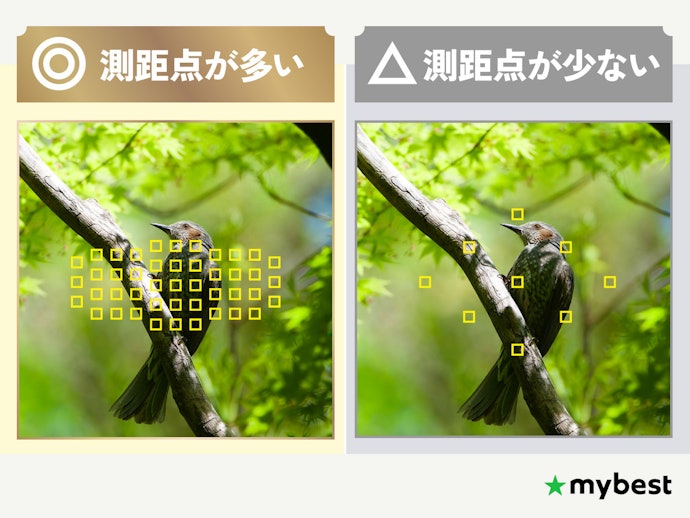 動く被写体を撮るなら、測距点(AF)の多いモデルが有利