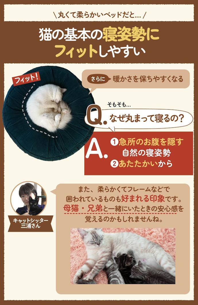 気に入るかは猫次第。一般的には丸くて体にフィットするものが無難