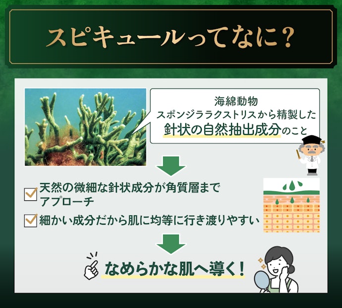 微細スピキュールとは何ですか?どんな特徴がありますか?