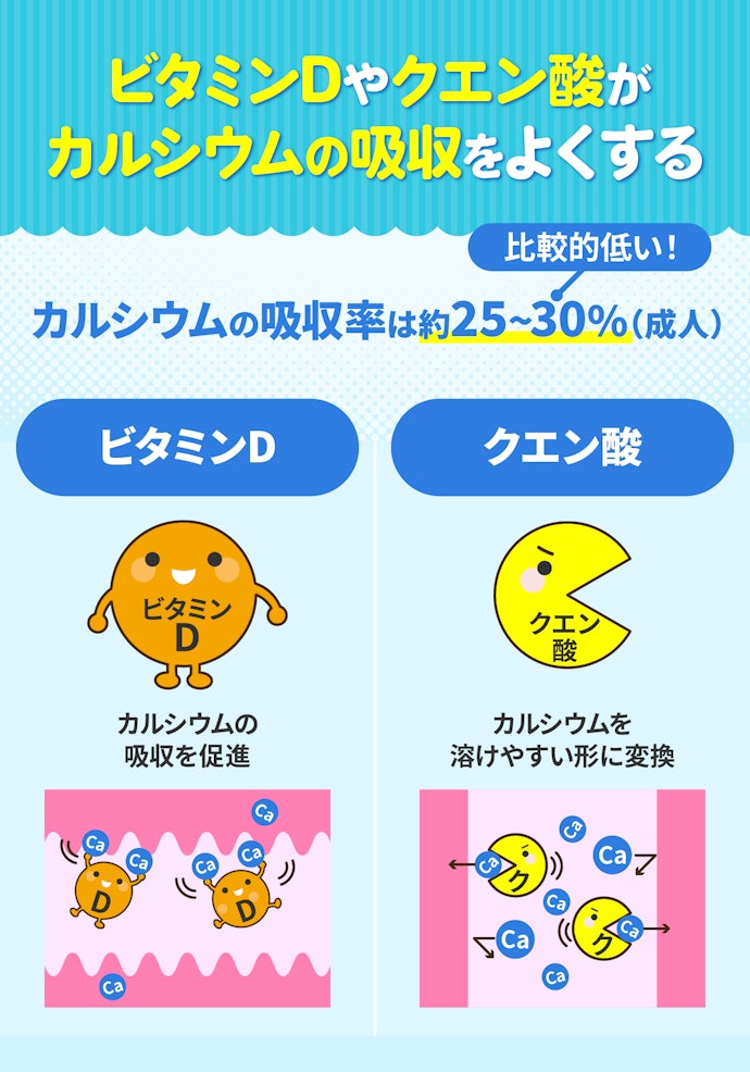 ビタミンDやクエン酸を配合しているものを選ぼう