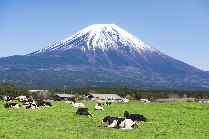 気になる送料や産地もチェックしておこう
