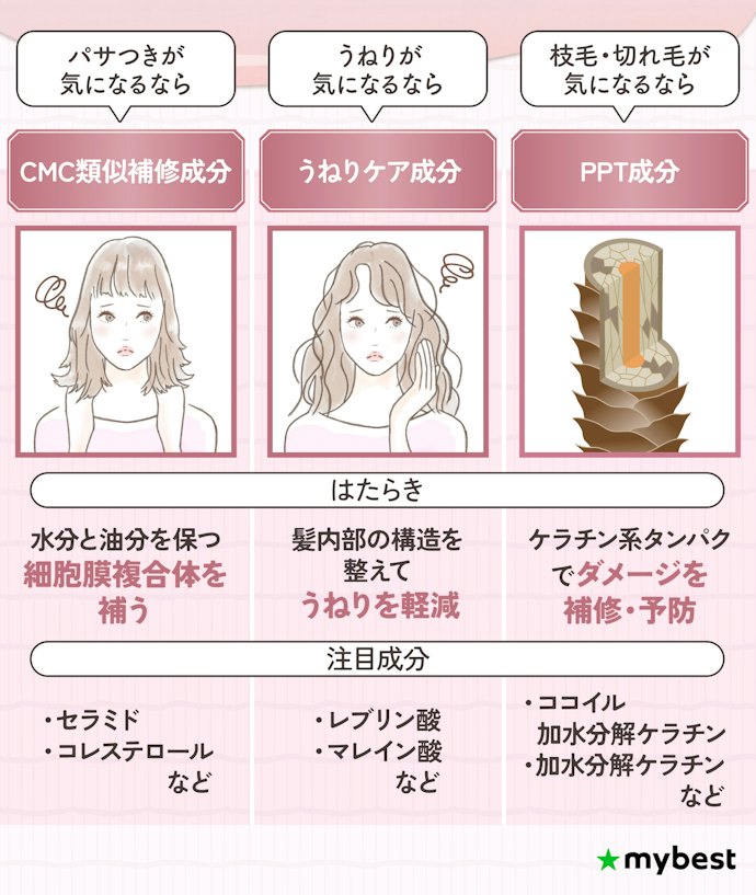 悩み別に補修成分をチェックしよう