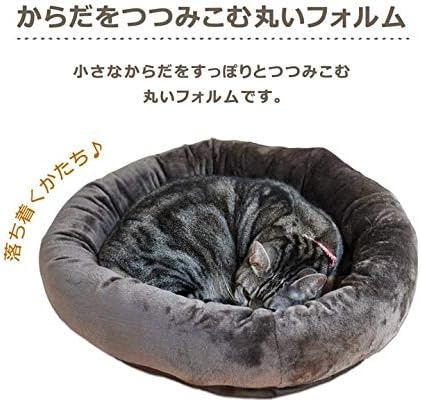猫の体格と寝方に合ったサイズ・形状を選ぼう