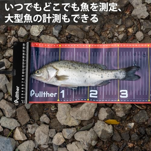 幅をチェック。写真撮影には15cm以上のワイドな商品がおすすめ