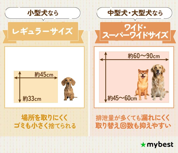 まずはサイズをチェック!犬種に合わせて選ぼう