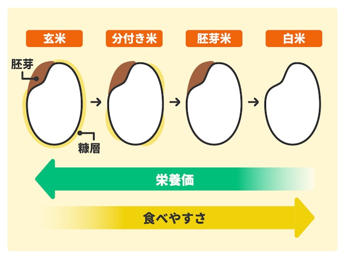 分付き米との違いは胚芽の残り具合。栄養価重視なら、胚芽保有率80%のものを選ぼう