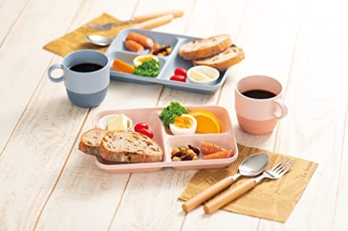 複数の料理を盛るなら、仕切りがあるプレート入りが狙い目