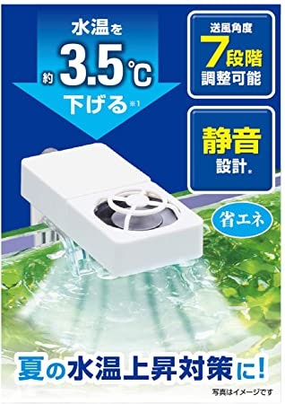 寝室の水槽には、静音性の高いクーラーがおすすめ