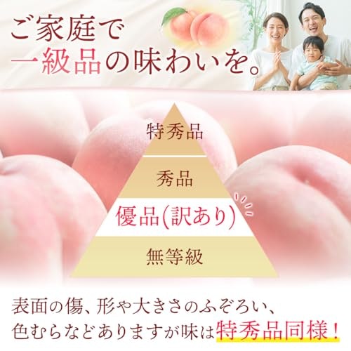 お得さを重視するなら、訳あり品も選択肢に加えよう