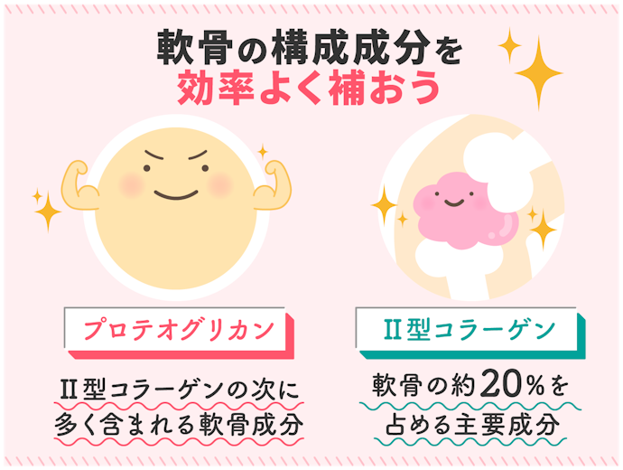 効率的に摂取するなら「Ⅱ型コラーゲン」をプラス配合したものがおすすめ!