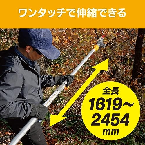 ポールの長さも大切。カットしたい枝の高さに無理なく届くものを