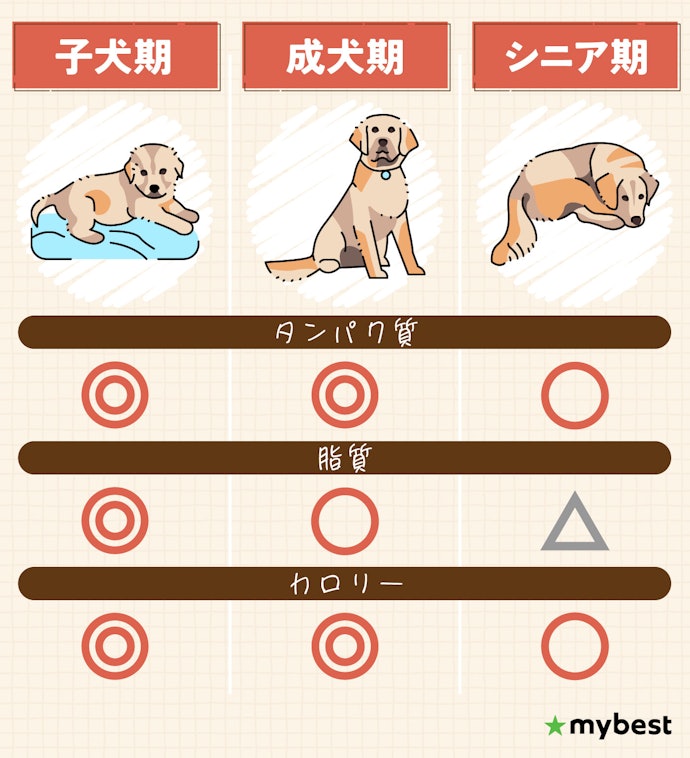愛犬のライフステージに合ったフードを選ぼう